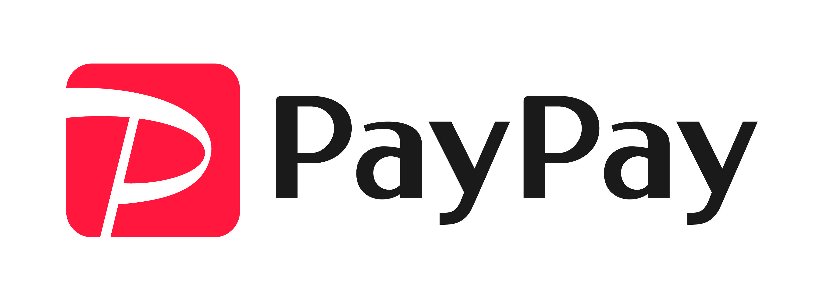 PayPay_1_cmyk.jpg